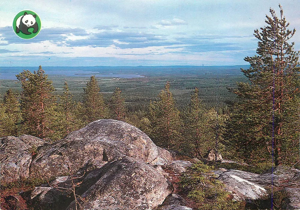 Panoramic View Of The Forest And Lake — Finland, WWF Edition, No. 15308/100 - Front