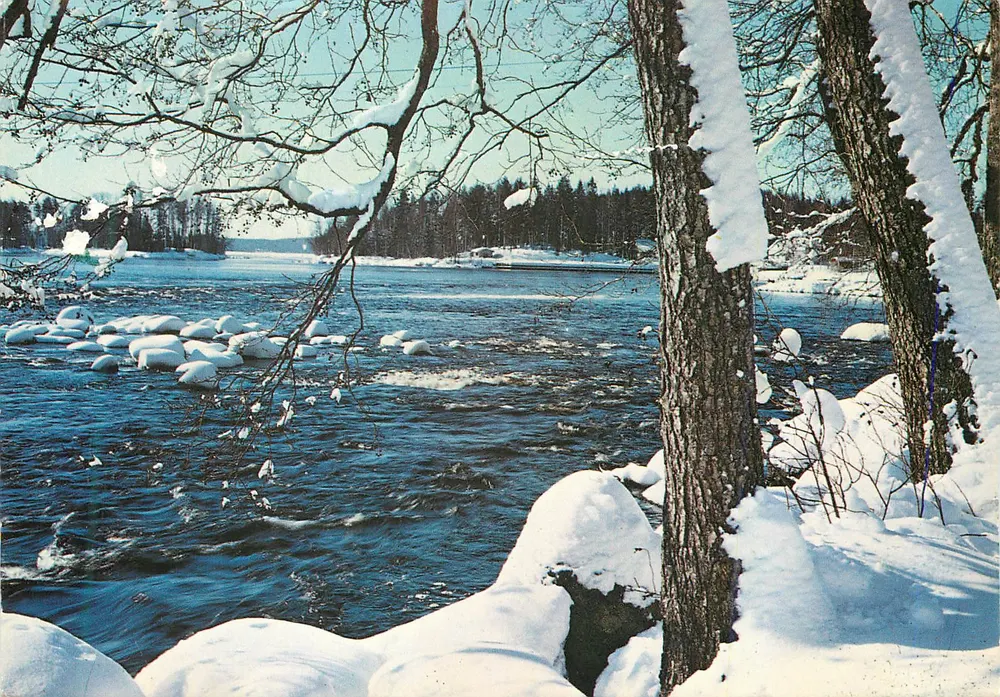 Ruovesi, Finlande — Rivière gelée et forêt enneigée — Published by Pentti Harala, Espoo - Recto