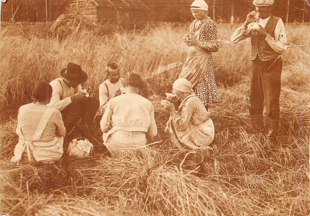 Wheat Harvesters in Pirkkala — Finland — Publisher Eino Nikula, no. 289 - Front