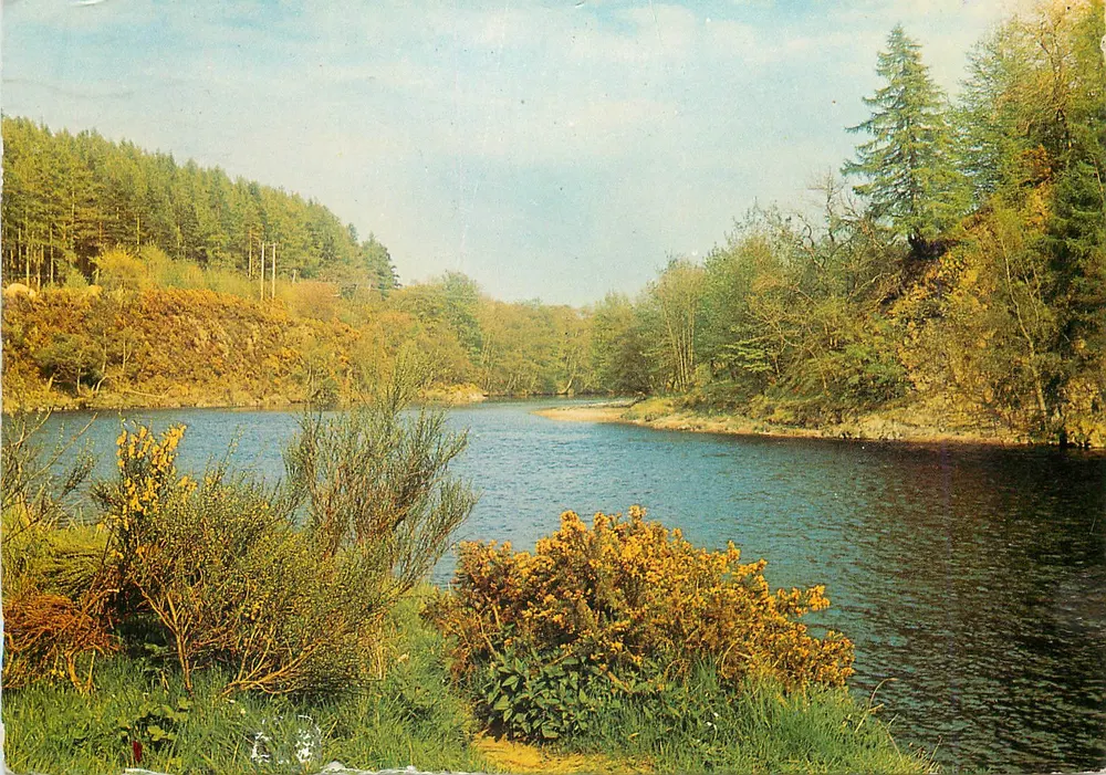 Rio Spey, perto de Rothes, Moray — Produção Dixon, série L6/SP. 3591 - Frente