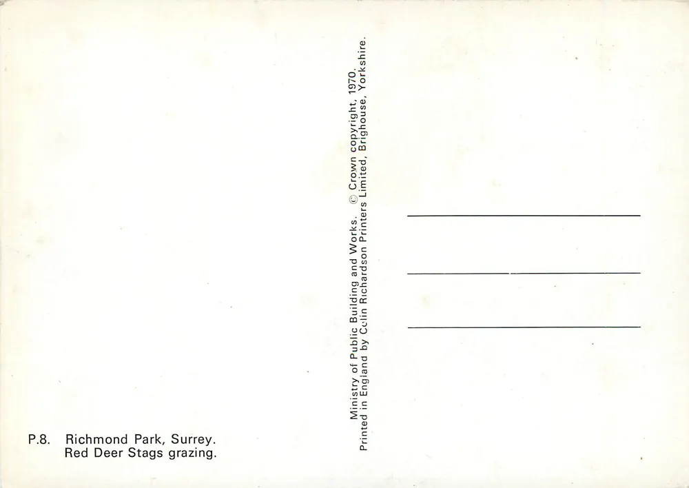 서리 주 리치먼드 공원 — 레드 딜 사슴들이 풀을 뜯고 있는 모습 — 공공건축 및 공사부, 1970년 - 뒷면