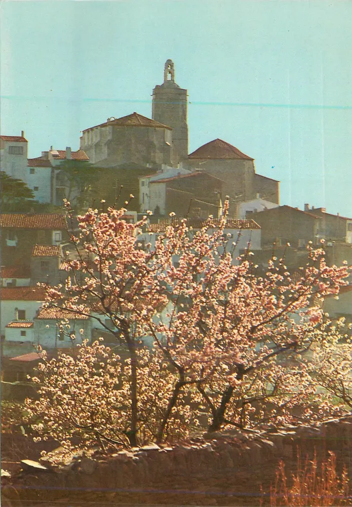 कैडाक्वेस (कोस्टा ब्रावा) — अलमेंड्रोस इन फ्लोर — MELI-COLOR FIGUERES, संख्या 355 - आगे