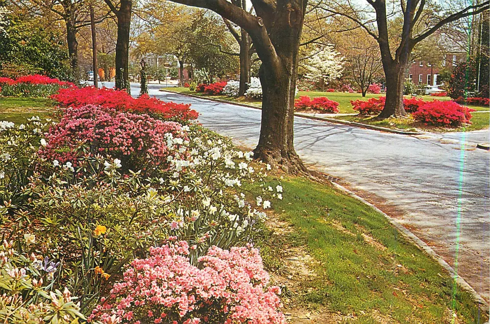 Columbia's Garden Trail — Carolina do Sul na Primavera — Publicado por Photo Arts, Winnsboro, S.C. 29180 - Frente