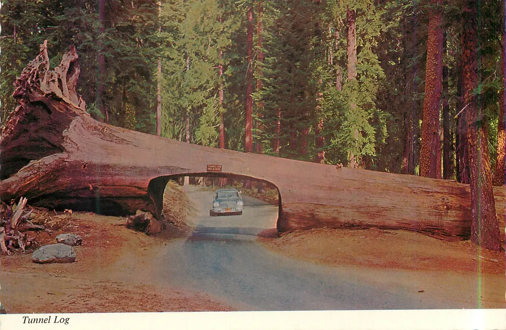 Túnel Log — Parque Nacional Sequoia — a carta continental - Frente