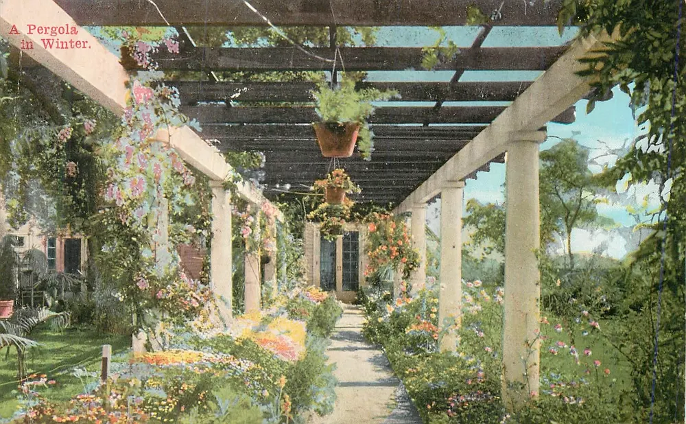 शीतकालीन पर्गोला — A Pergola in Winter — The O. Newman Company, Los Angeles - आगे