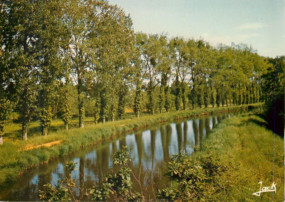 Kanal von Nantes nach Brest — 'Vive Eve' — Kunstausgabe 'JACK' 22700 Iguannec - Vorderseite