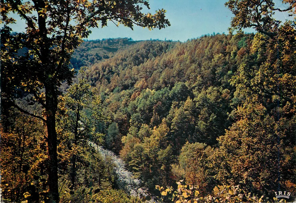Die Schluchten der Cère — Herbst — Moderne Ausgaben « Théojac » - Vorderseite
