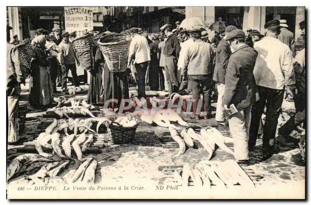 Dieppe — La Vente du Poisson à la Criée — ND Phöl - Recto