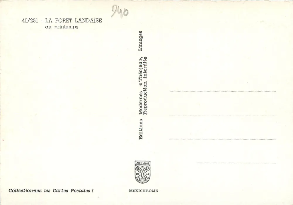 Floresta Landaise — na primavera — Edições « Théolac » - Verso
