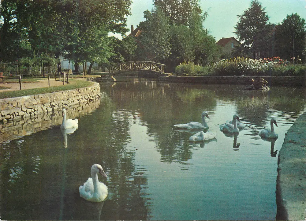 Canal com cisnes — Montluçon (Allier) — Éditions Nivernaises, n°16944 - Frente