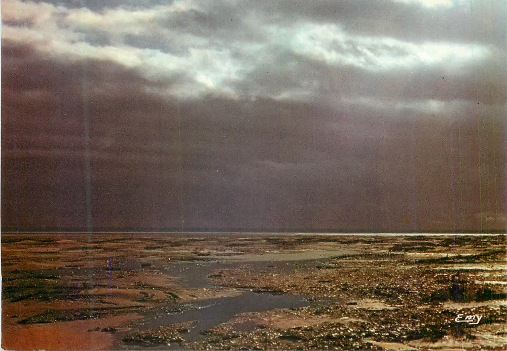 O Marais antes da tempestade — 605 — Edições Normandas LE GOUBEY, Caen - Frente