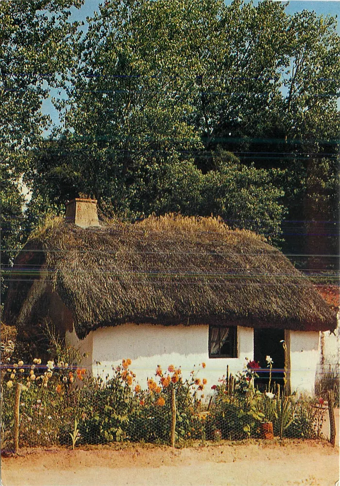 Cabana com telhado de colmo — Pays de Monts, Vendée — Artaud Frères - Frente