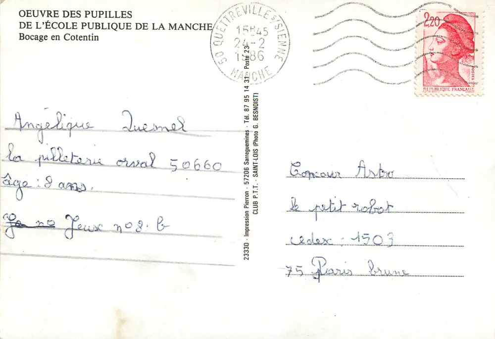 Bocage in Cotentin — ländlicher Landschaft mit Kühen und blühenden Kirschbäumen — Impression Pieran - Rückseite