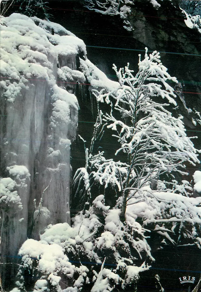 Les Vosges sous la neige — Parure hivernale — IRIS MEXICHROME - Recto