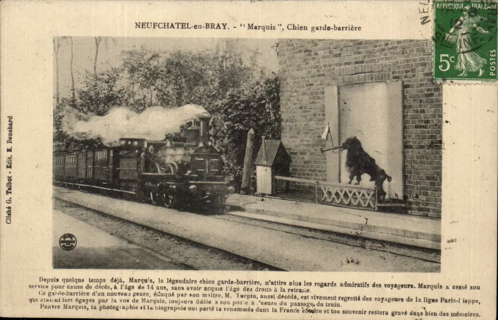 Neufchâtel-en-Bray — 'Marquis', Schrankehund — Cliché G. Talbot - Édit. E. Beaubard - Vorderseite