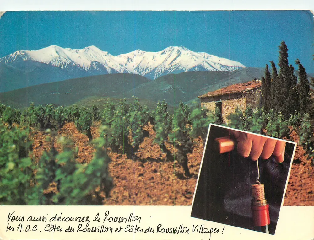 Côtes du Roussillon — Schneebedeckter Mont Canigou — G.I.P. Werbepostkarte - Vorderseite