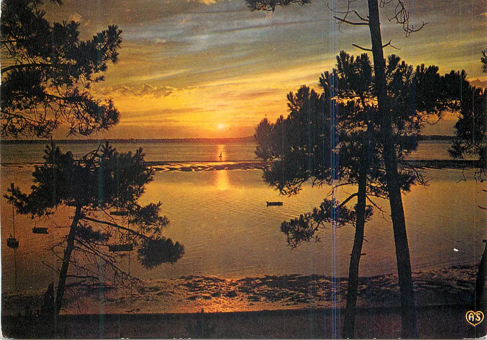 Sonnenuntergang über einen See — Ansicht gerahmt von Kiefern — Verlag ARTAUD Frères, N°12-PP - Vorderseite