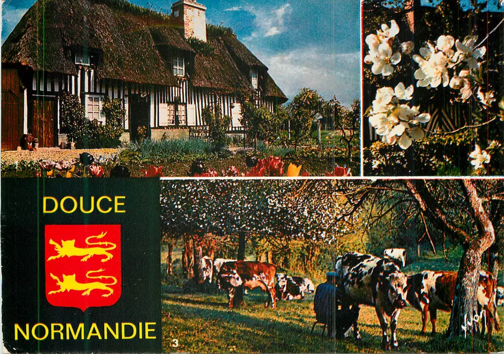 Douce Normandie — Paisagem rural com fazenda de palha, flores e vacas — Edições Jean-Jaurès-94 - Frente