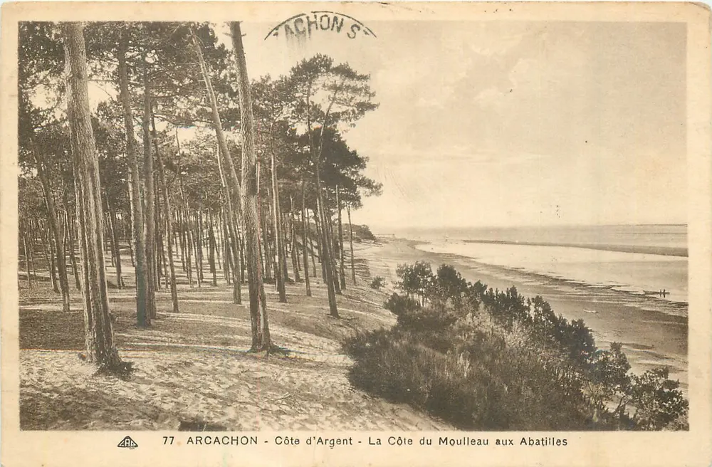 Arcachon - Côte d'Argent - La Côte du Moulleau aux Abatilles - Vorderseite