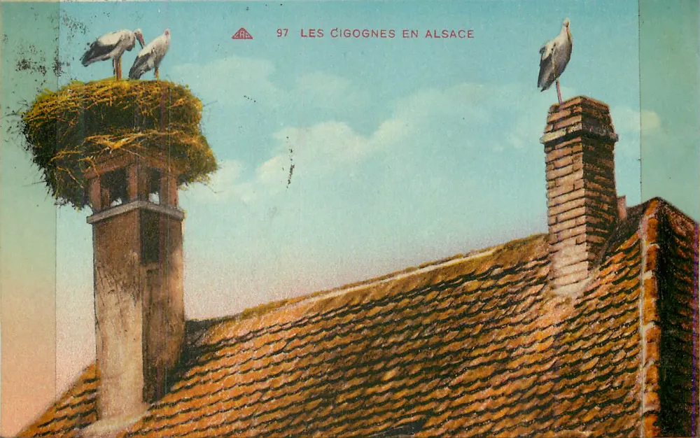 Les Cigognes en Alsace — scène de toits et cheminées avec nids d'oiseaux — éditeur Cie des Arts Photomécaniques, n° 97 - Frente