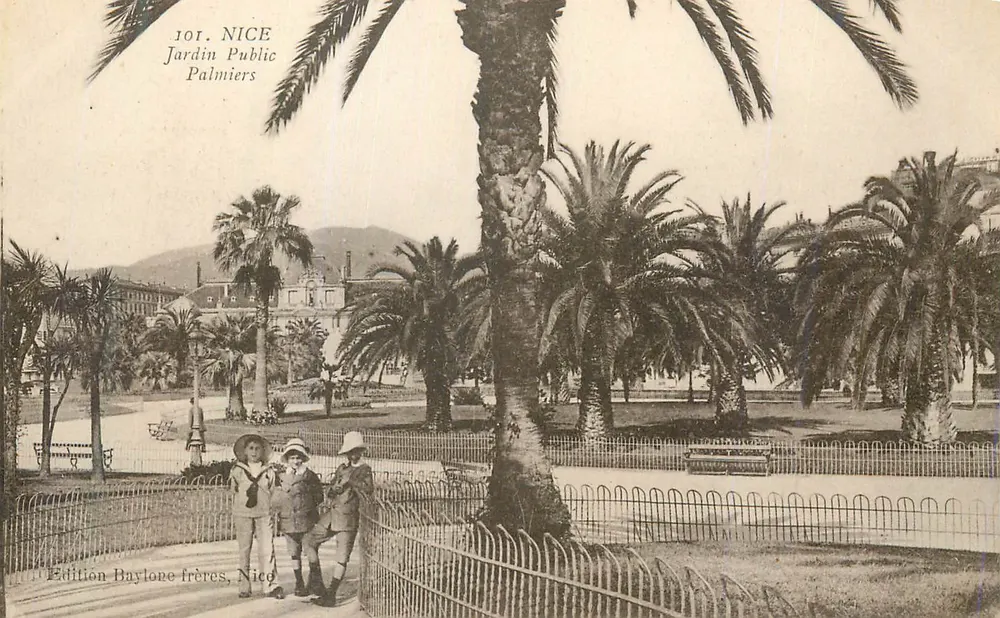 Nice — Jardin Public, Palmiers — Édition Baylone frères, Nice - Recto