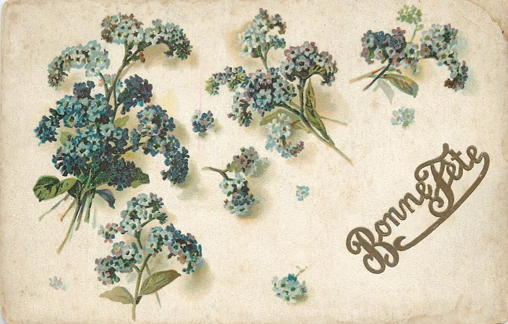 Bouquetes de flores — Boa festa — Made in Italy - Frente