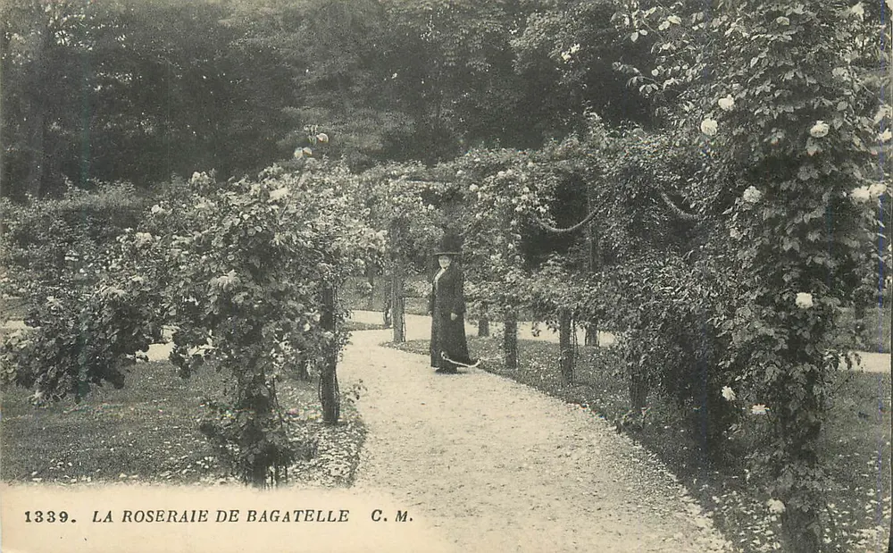 A Roseraie de Bagatelle — C.M. n° 1339 - Frente
