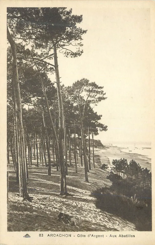 Arcachon - Côte d'Argent - Aux Abatilles — Uitgever: Cie des Arts Photomécaniques, Strasbourg-Schiltigheim, n° 83 - Voorkant