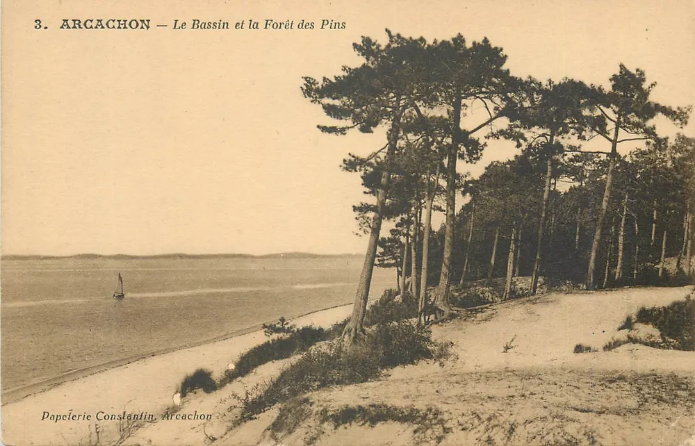 Arcachon — Le Bassin et la Forêt des Pins — Papeterie Constantin, Arcachon - Recto