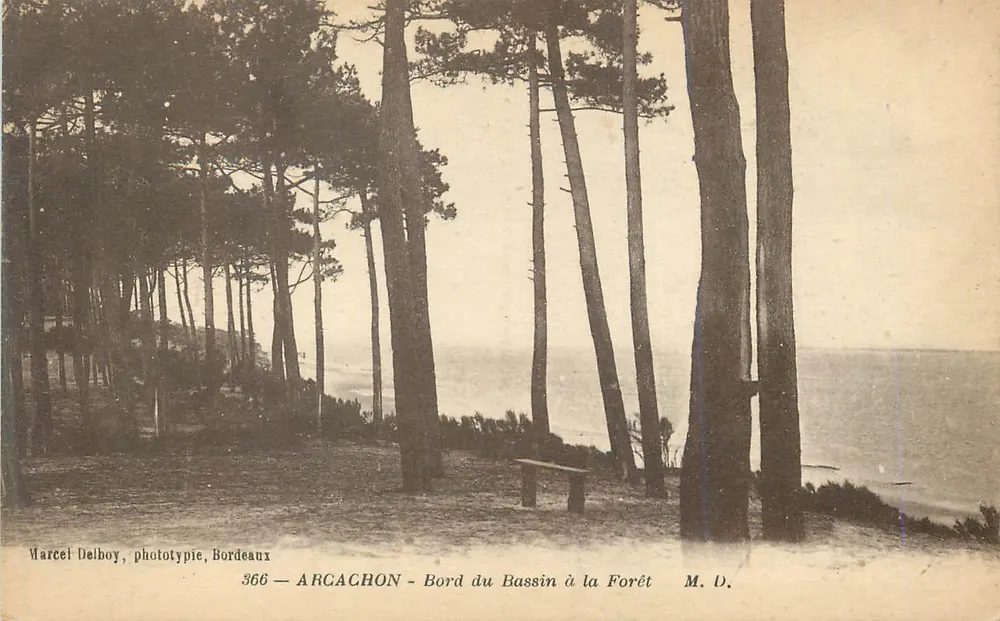 Arcachon — Bord du Bassin à la Forêt — Marcel Delboy, phototypie, Bordeaux, n°366 - Recto