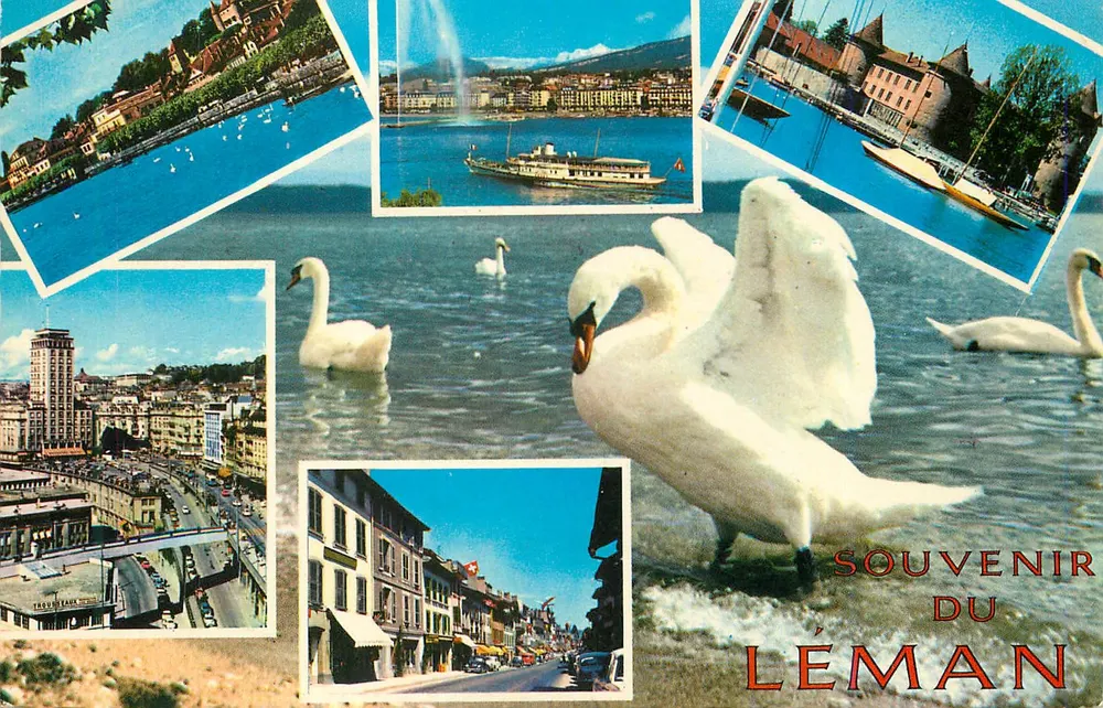 Lac Léman — Erinnerung an den Léman — Bovéy & Cie, Genf, n°8299 - Vorderseite
