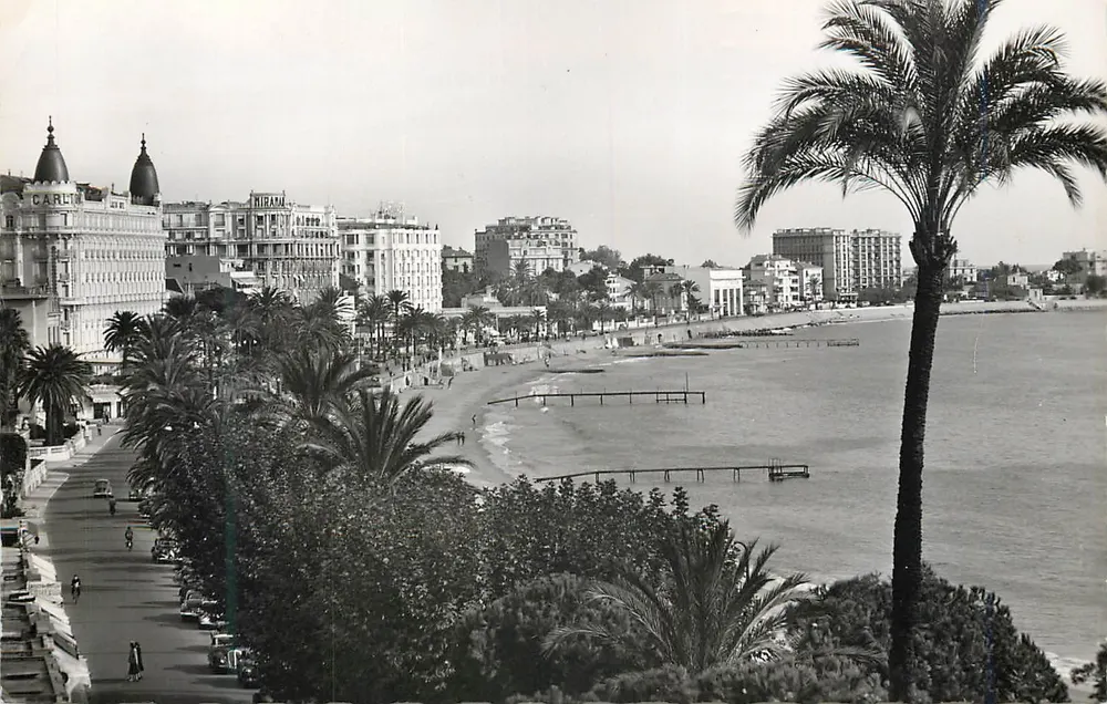 Cannes - Vue générale de la Croisette et les grands hôtels — Éditions S.E.P.T. n° 8-74A - Recto
