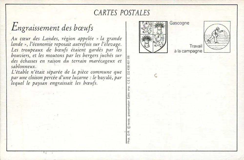 Interior nas Landas (lou Pâchedeûy) — Engorda de bois — F. Bernéde, fot., Arjuzanx (Landas) - Verso