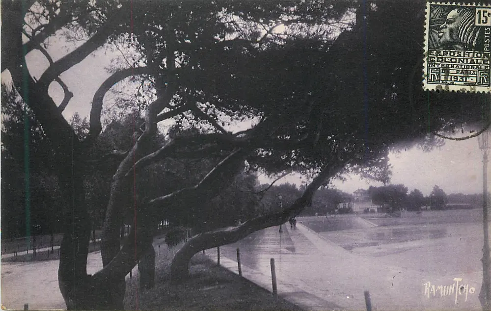 La Rochelle — Promenade da Concurrence — Edições Artísticas Raymonde Bergentin, n°13171 - Frente