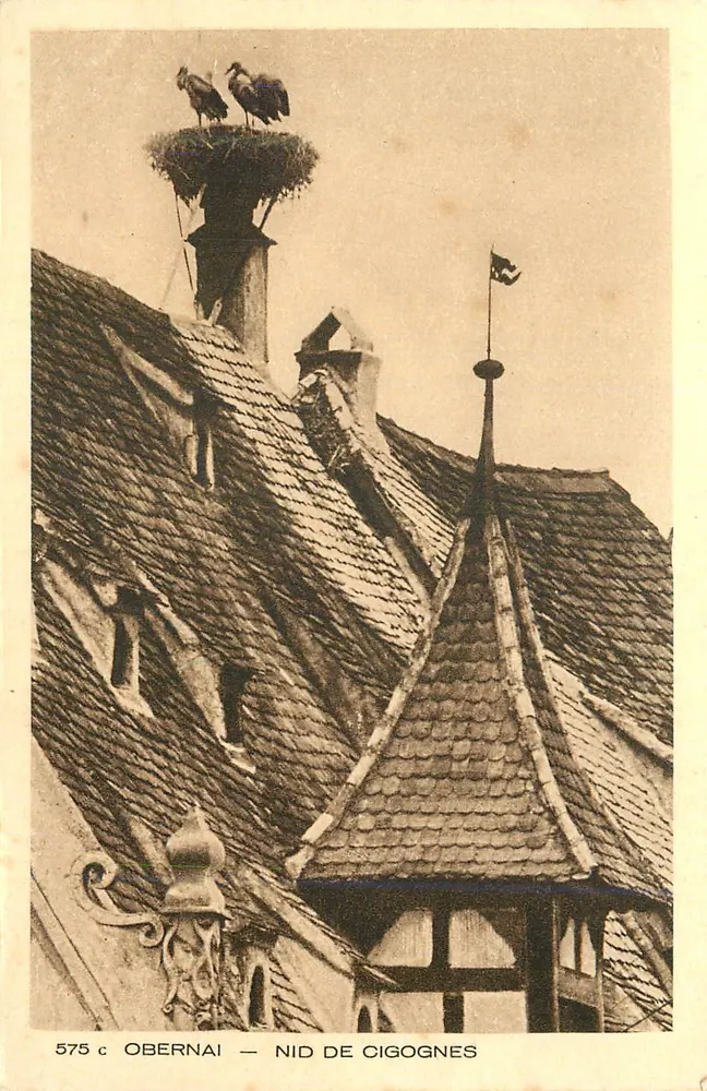 Obernai — Stork's Nest — Braun & Cie, Mulhouse-Dornach - Front