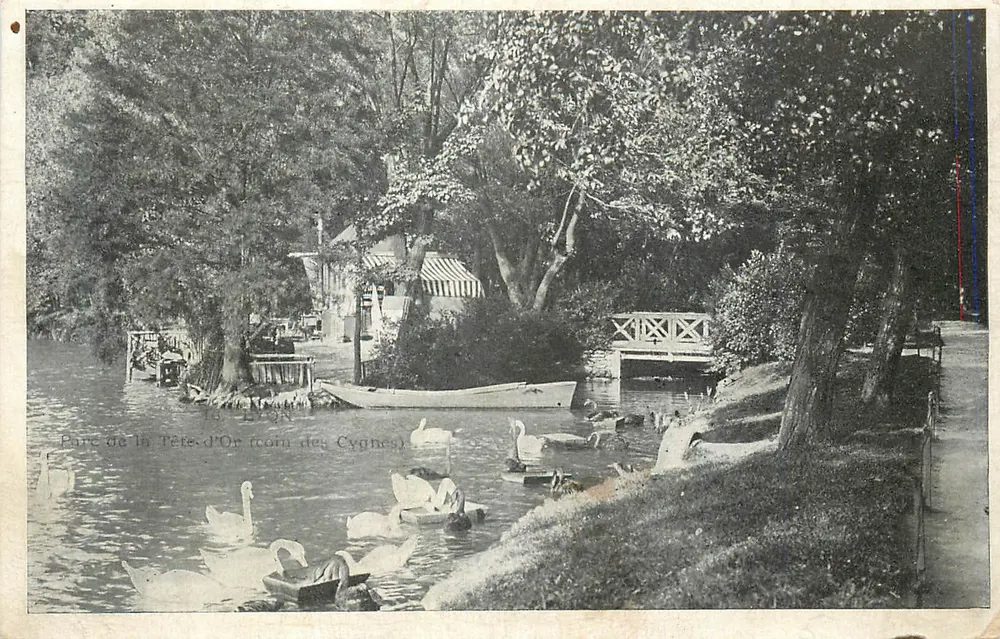 Parque da Tête-d'Or (zona dos cisnes) — Lyon — editor L. Lépin - Frente