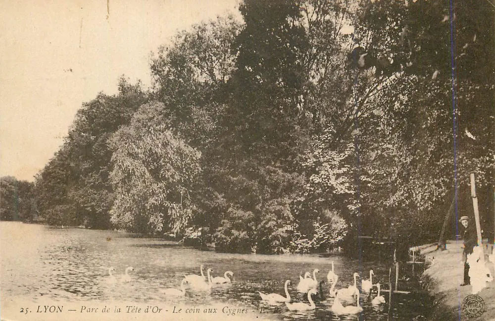 LYON — Park der Goldenen Kopf — Der Schwanenwinkel — E. B. - Vorderseite