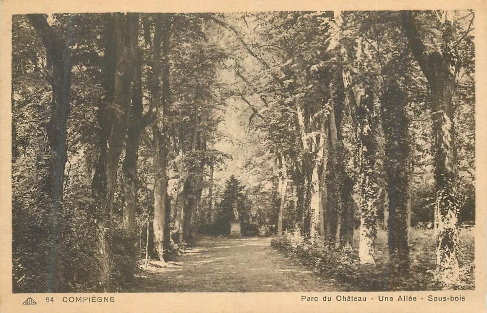 Compiègne — Parque do Castelo - Uma Avenida - Floresta — editor não identificado - Frente
