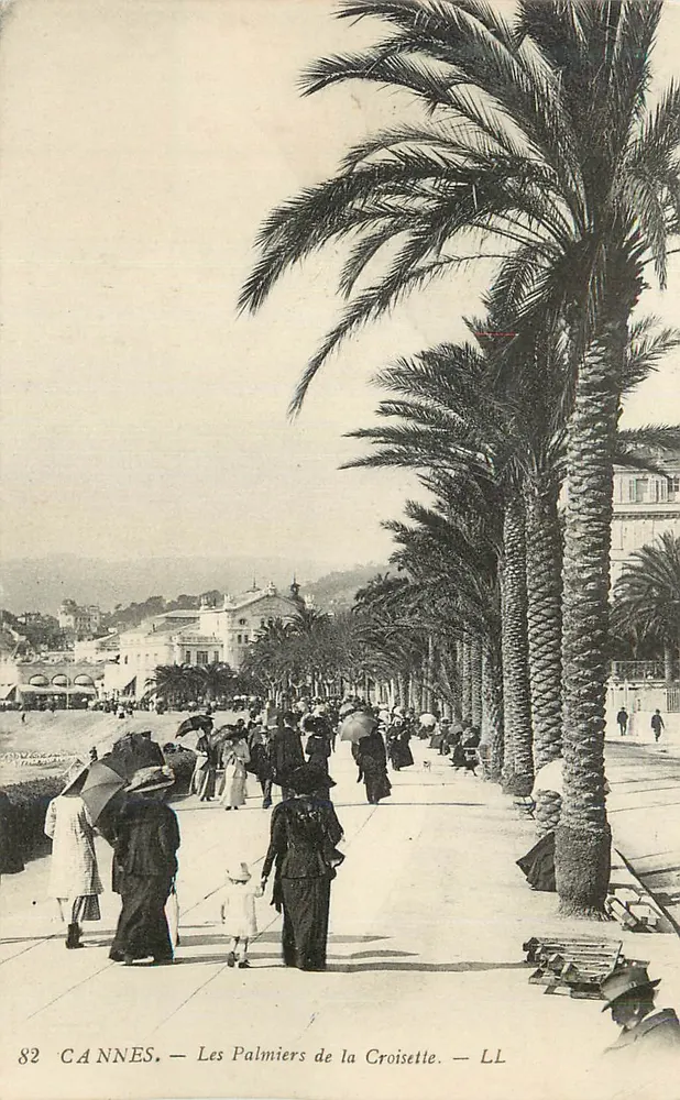 Cannes — Os Palmeiras da Croisette — LL - Frente