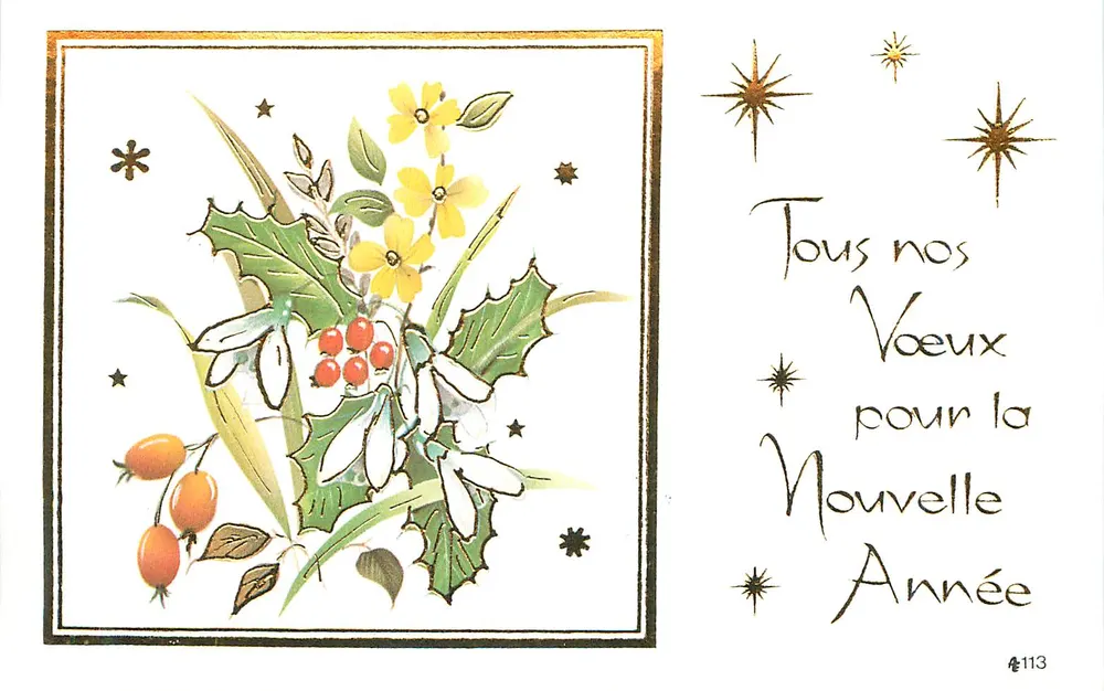 Fleurs et baies de noël — Tous nos voeux pour la Nouvelle Année — série 1113 - Recto