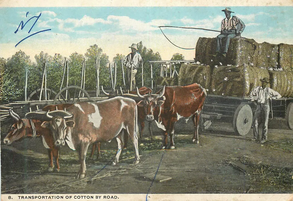 Transportation of Cotton by Road — Serie A-31670 — I.P.C. Co., Atlanta, GA - Vorderseite