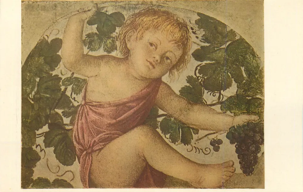 Putto com cachos de uva — Bernardino Luini — Pinacoteca de Brera, Milão — N. 85 - Frente
