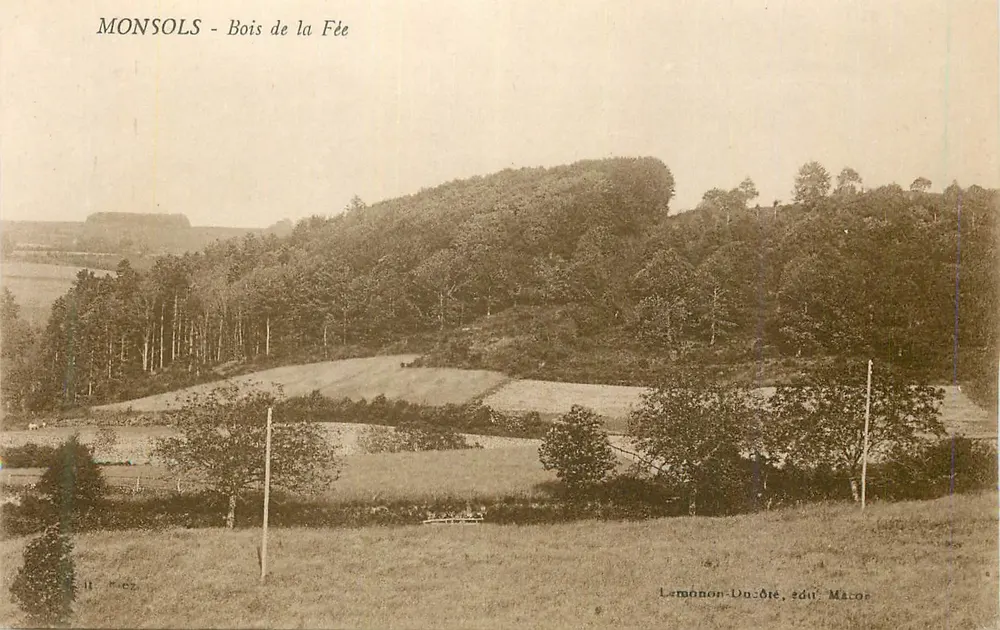 Monsols - Bois de la Fée — Lemmon-Ducôte, uitgave Mâcon - Voorkant