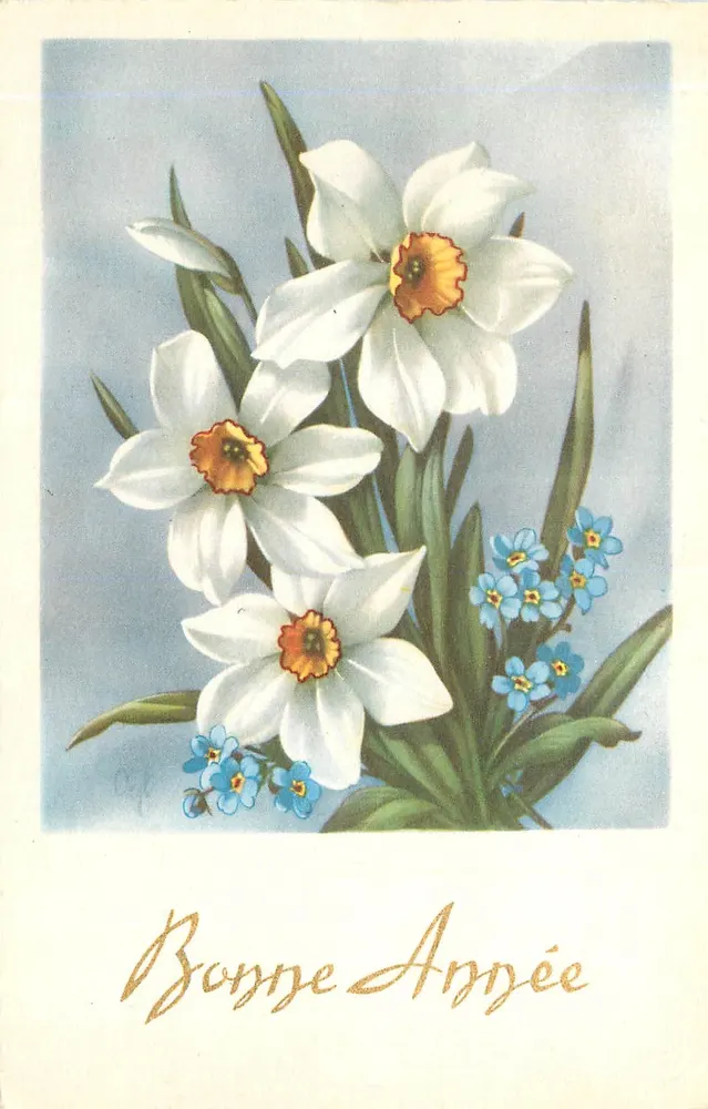 Flores de primavera — Nenúfares e pensamentos — Edições Jacques Petit, n° 147 - Frente