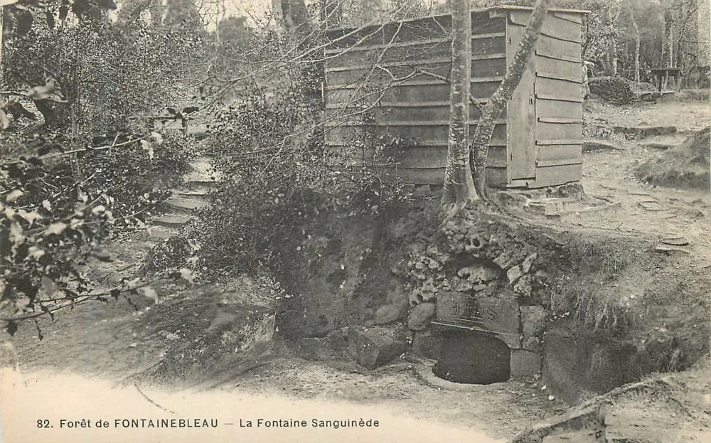 Wald von FONTAINEBLEAU — Quelle Sanguinée — Unbekannter Verleger, Nr. 82 - Vorderseite