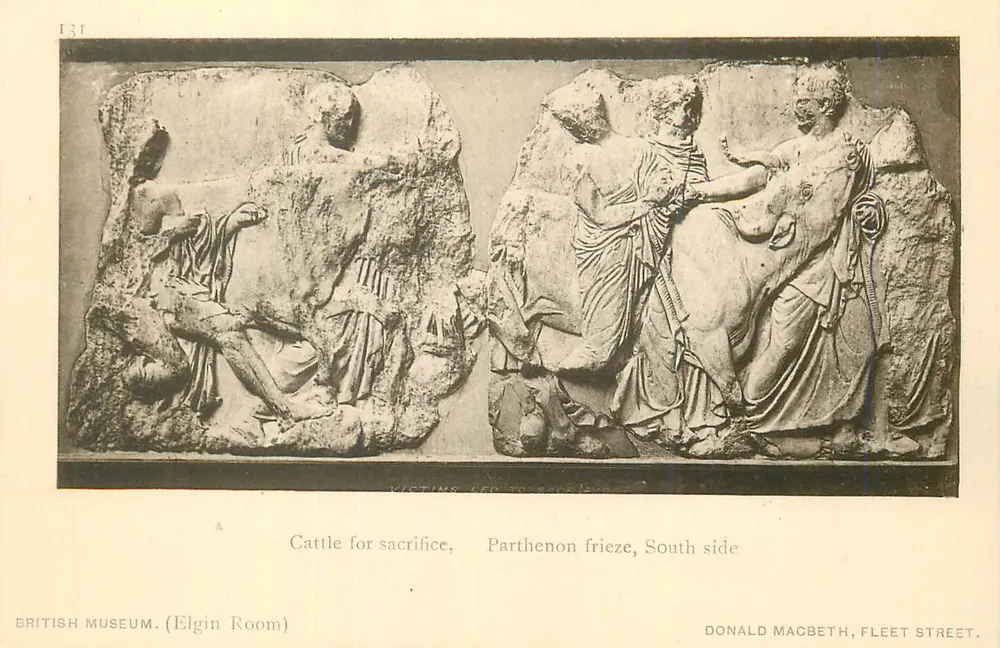 Tiere zum Opfer, Parthenon-Fries, Südseite — British Museum (Elgin Room) — Donald Macbeth, Fleet Street - Vorderseite