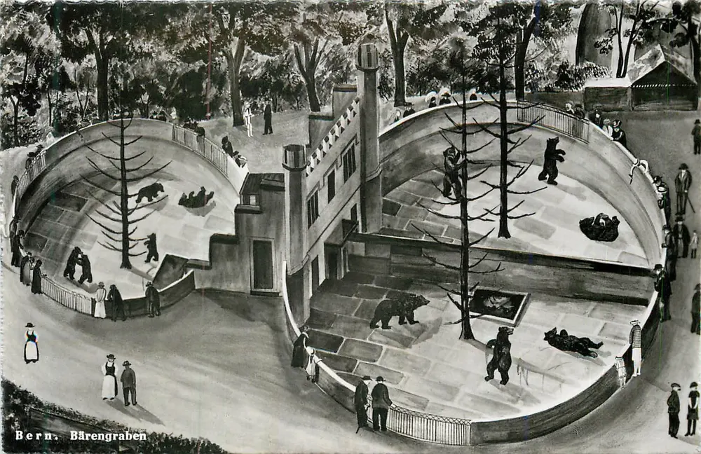 Bern, Bärengraben — ogólne widok ogrodu zoologicznego — Photoglob-Wehrli AG, Zürich, n° 7681 - Awers