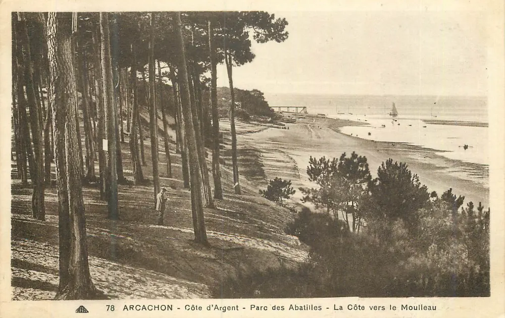 Arcachon — Côte d'Argent — Parc des Abatilles — Die Küste zum Moulleau - Vorderseite