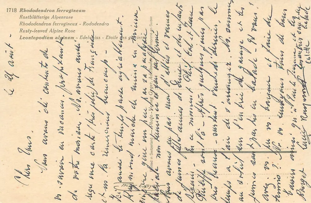 Rhododendron ferrugineum und Leontopodium alpinum — Verlag Photo-Verlag Gygax, n° 1718 - Rückseite