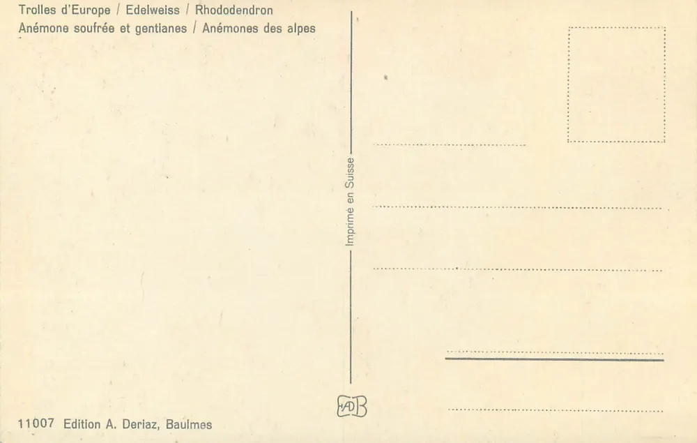 Fleurs des Alpes — Alpine Flowers — édition A. Deriaz, n°11007 - Verso